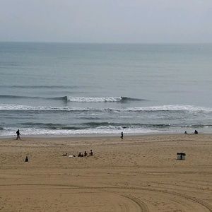 Meet your Posher, Janise